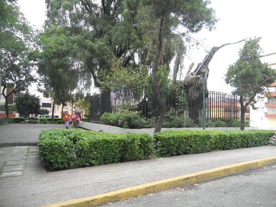 Museo Nacional de Antropología